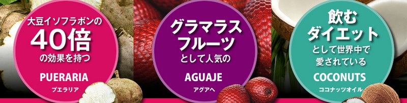 �y�O���}���X�����E�v�G�����A�z�i���������̔�!���T�C�g